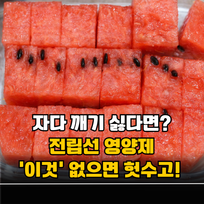"쏘팔메토만 먹으면 되나요?" 전립선 비대증 영양제, '제대로' 고르는 법 5가지