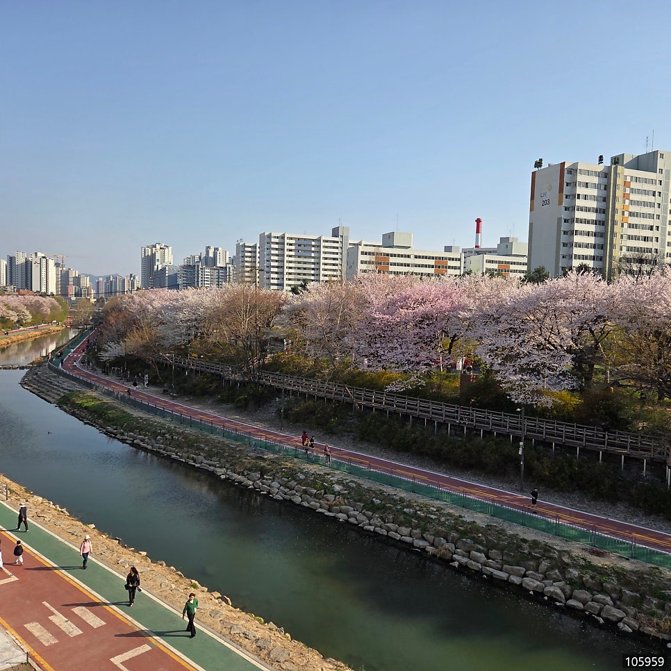 늘해랑오리이야기 사진 1