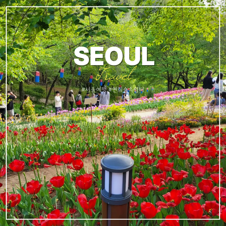  연희숲속쉼터 가는법 서울 튤립 명소 야간 꽃구경
