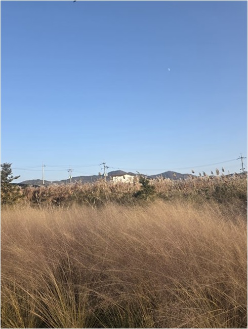어울림펜션 사진 5