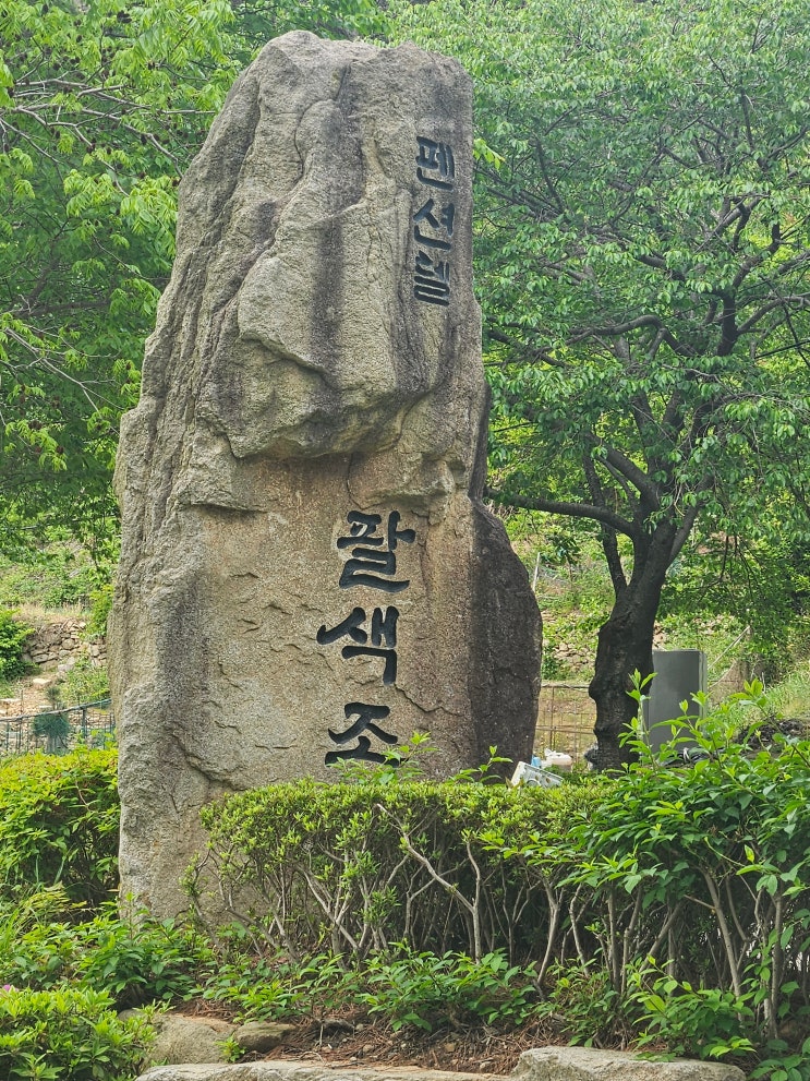  거제도 펜션, 망치몽돌해수욕장 숙소 '팔색조펜션' 솔직 후기 (나홀로 힐링 여행)
