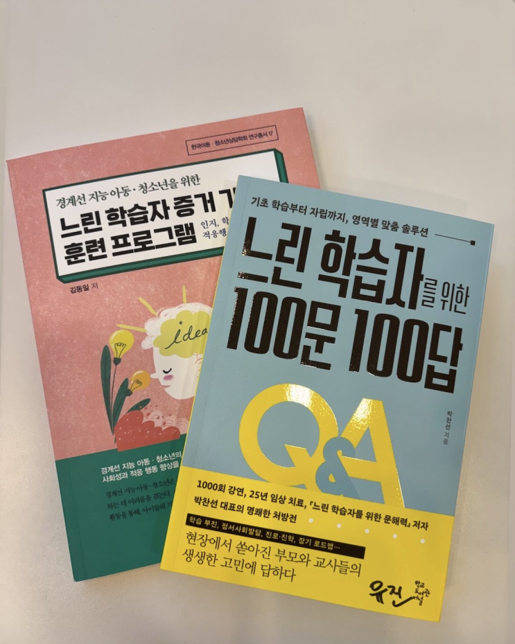  [책 리뷰 18] 느린학습자 증거기반 훈련 프로그램