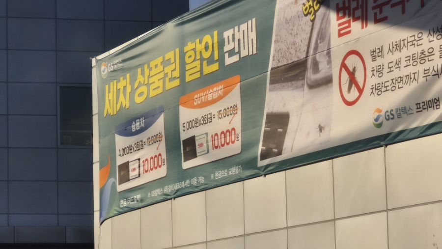 녹색시간 사진 4