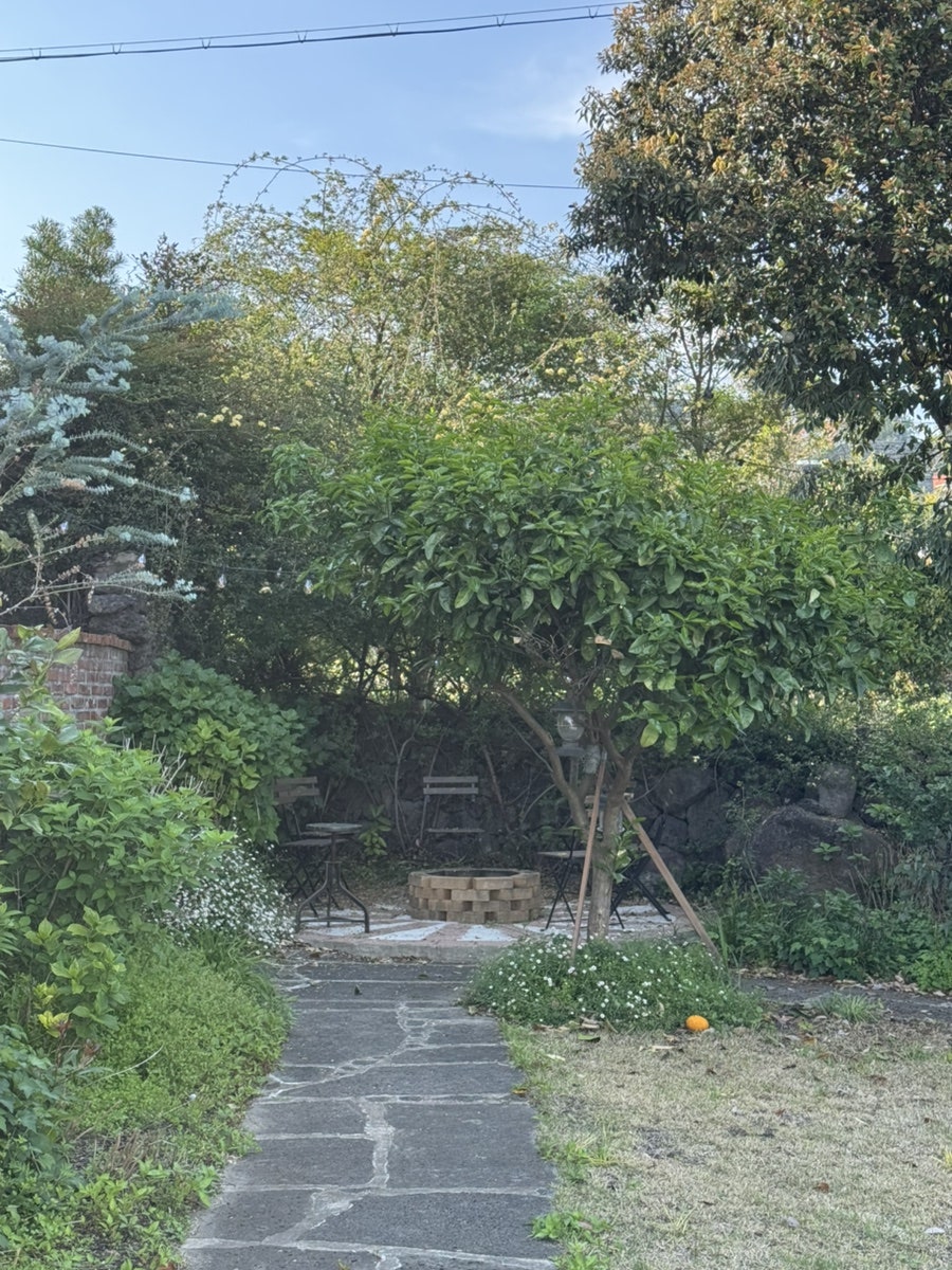 제주화 사진 4