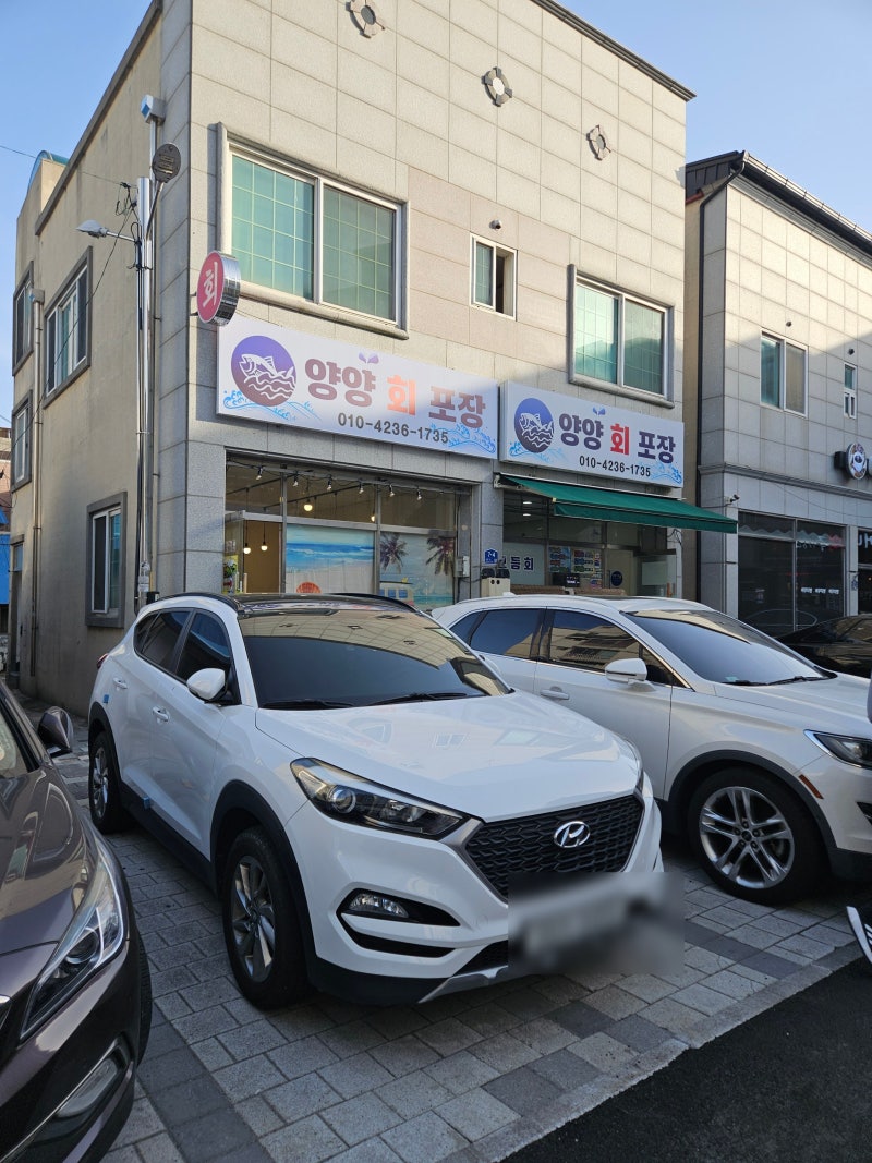 내돈내산) 양양 시내 로컬 회포장 맛집 '양양회포장' 솔직 후기