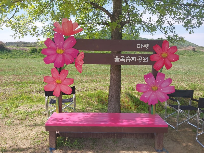 사진 5