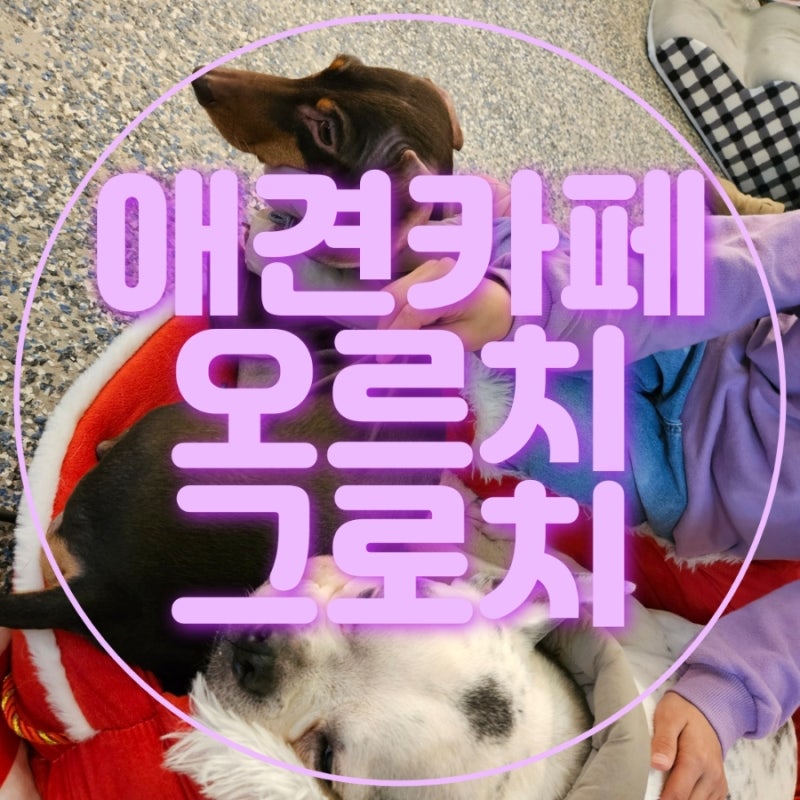 오르치그로치