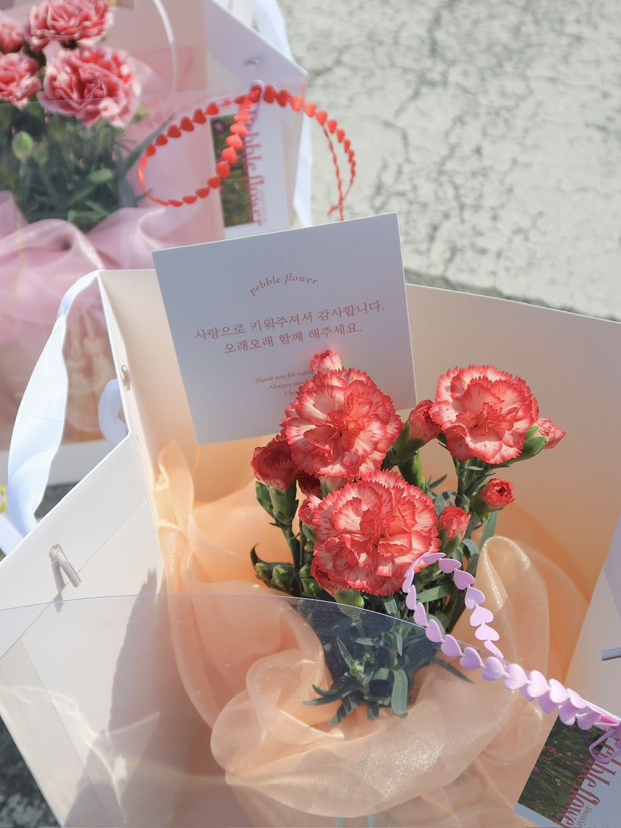 페블플라워 사진 2
