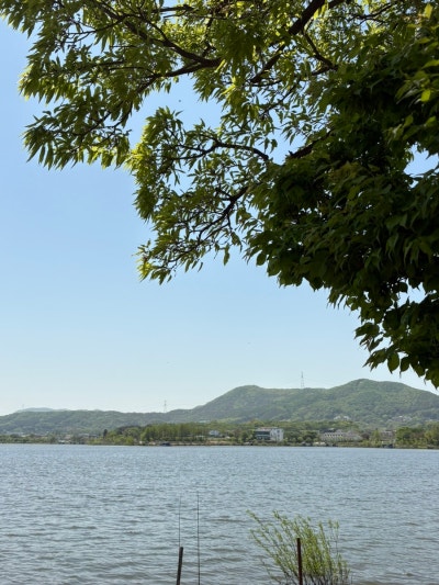 사진 5
