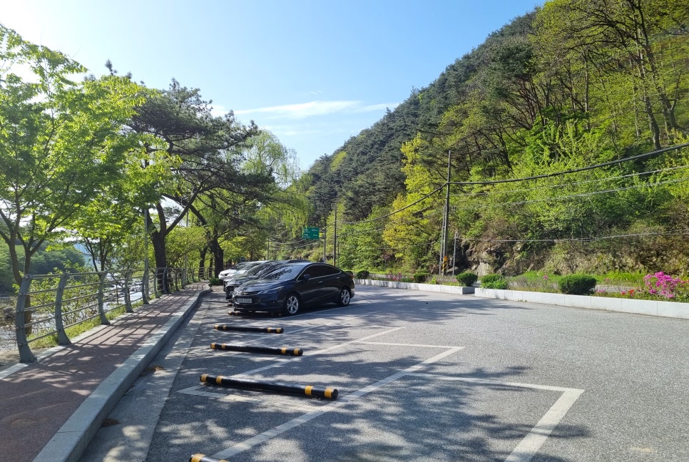 안동국시 사진 5