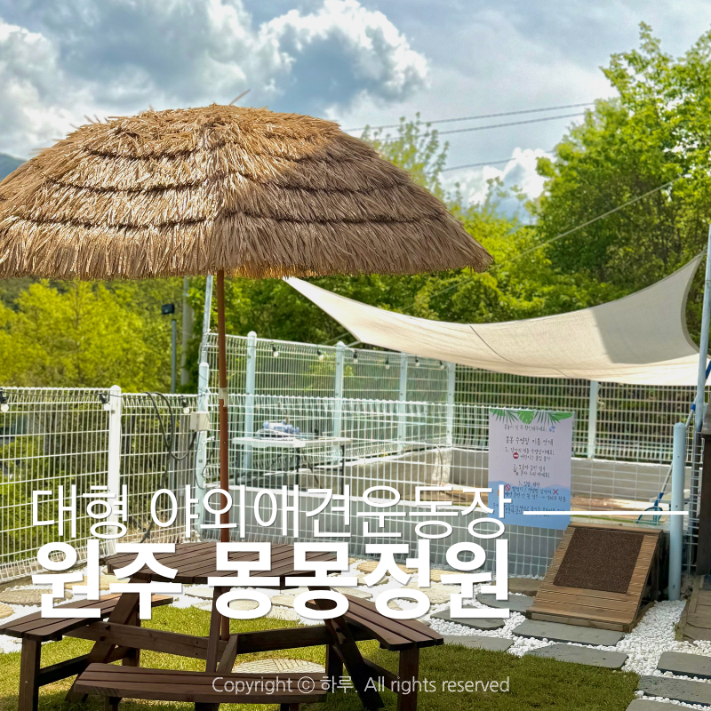 사진 6