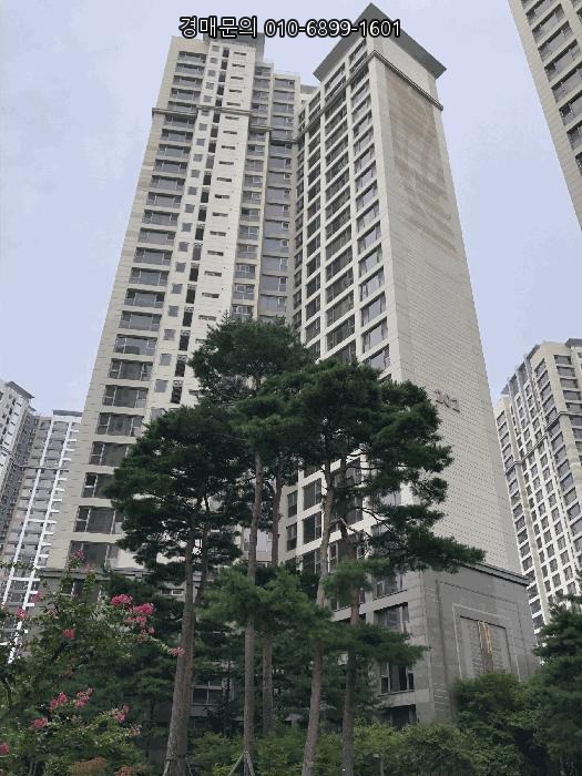  고양 일산 식사동 위시티일산자이2단지, 명문 학군과 쾌적한 공원 환경을 갖춘 명품 아파트 경매 2025타경63979
