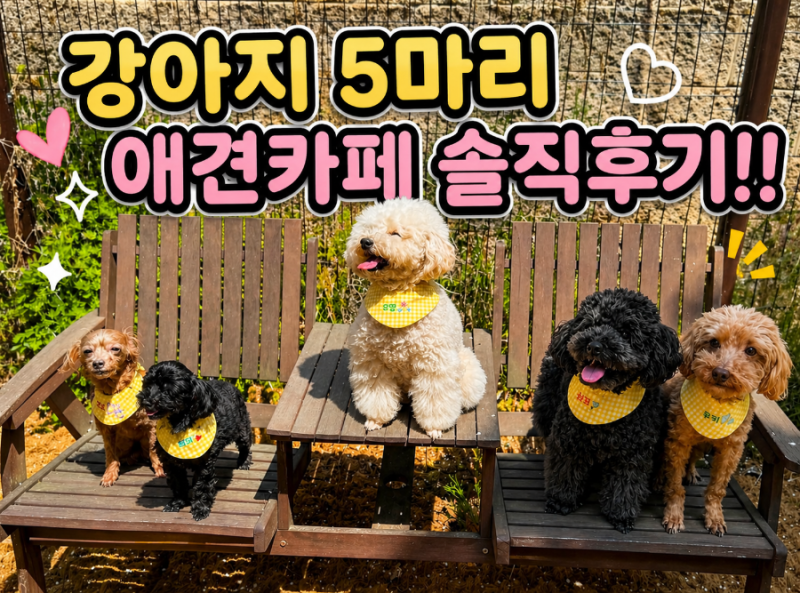 멍인더숲