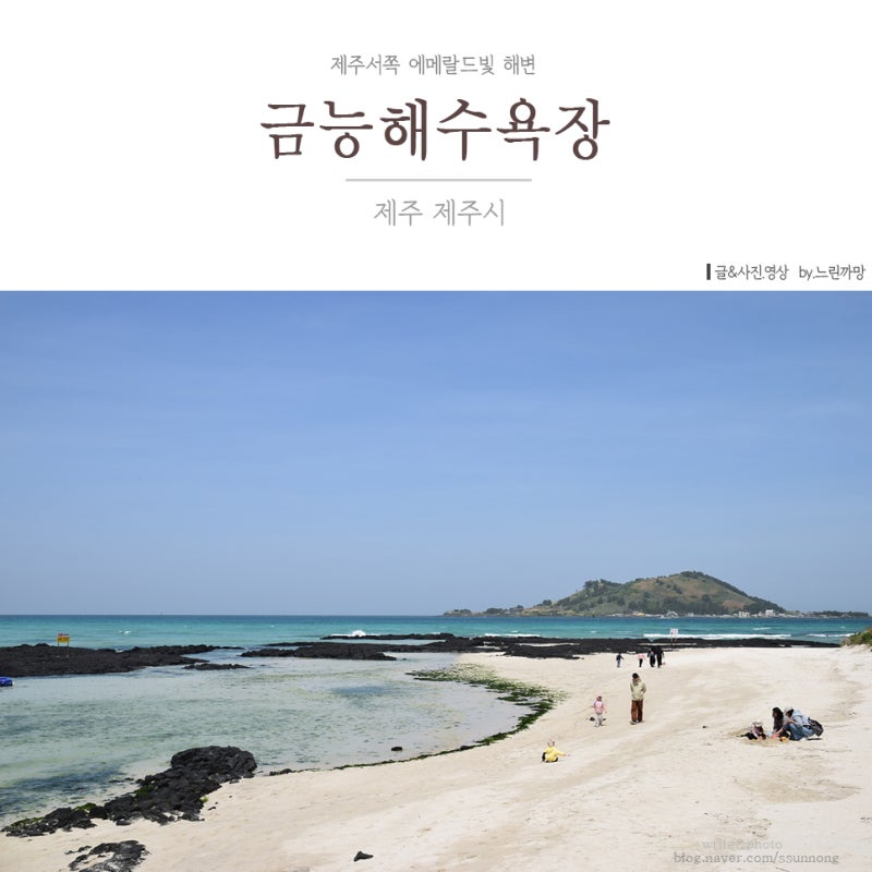 상가리야자숲