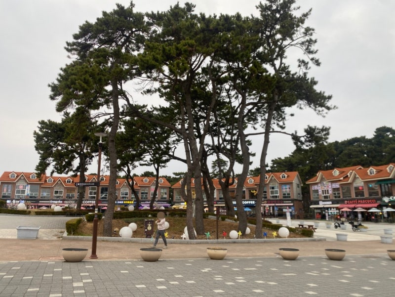 사진 7