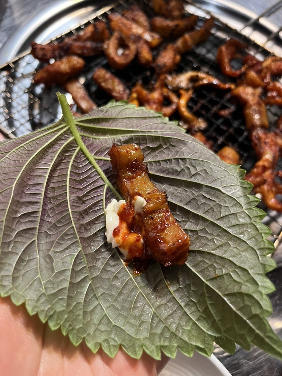 용호불낙 사진 6