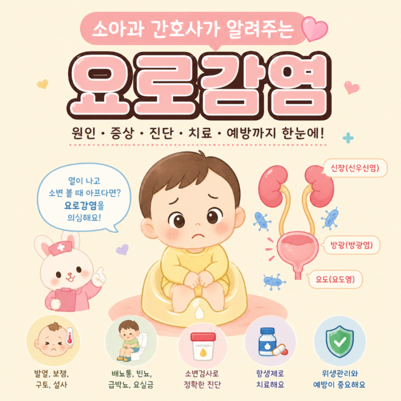 아기 열날 때 원인? 요로감염일 수도 있어요 (증상·검사·치료 총정리)