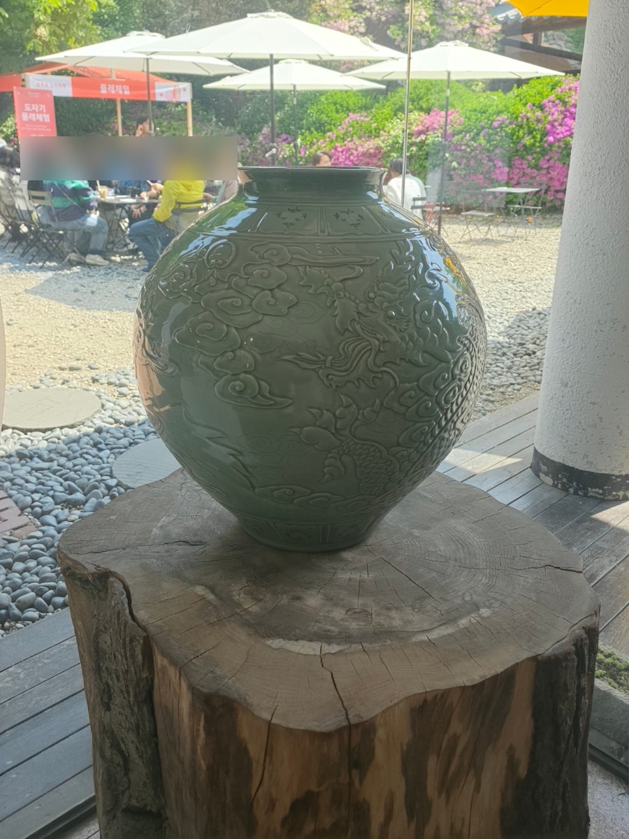 코유 사진 5