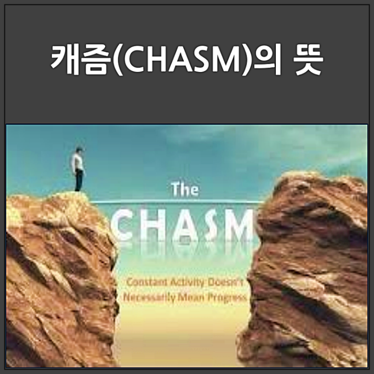  캐즘의 뜻과 의미