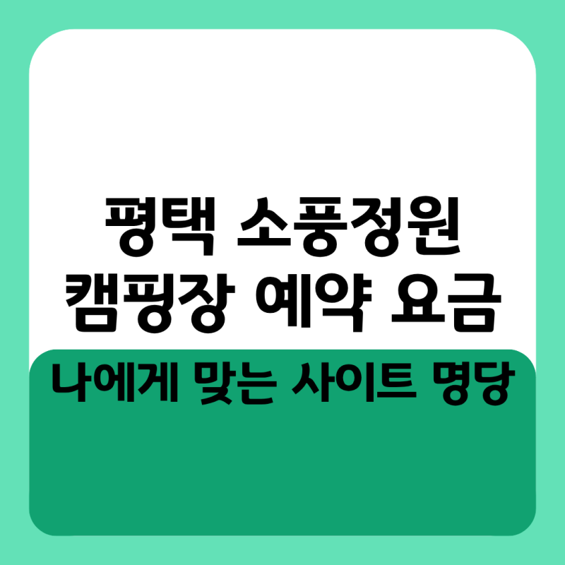 사진 9