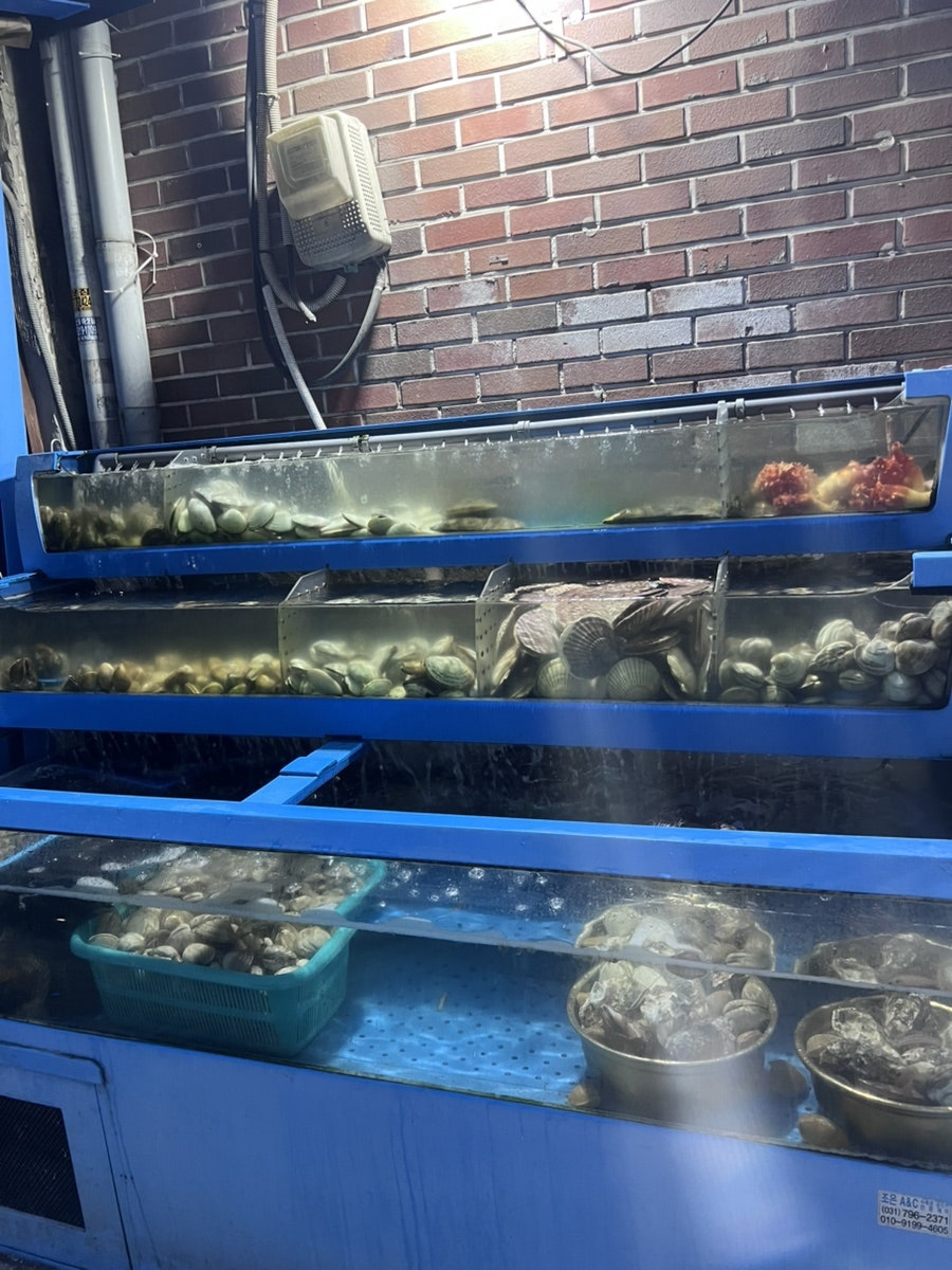 조개일번지 사진 3