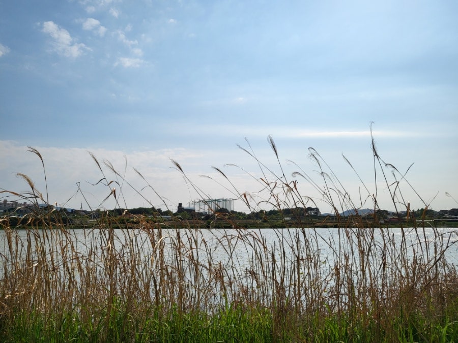 석지제 사진 4