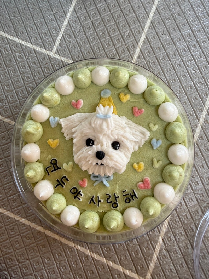 사진 7