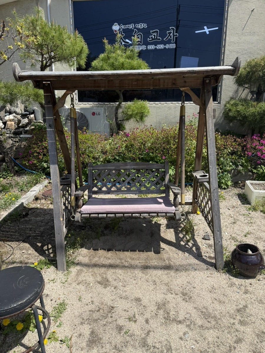 태백교자 사진 4