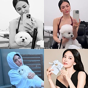 송혜교, 강아지 부러운 화보 순간 송혜교, 화보 대기실도 영화처럼…반려견 안고 완성한 우....