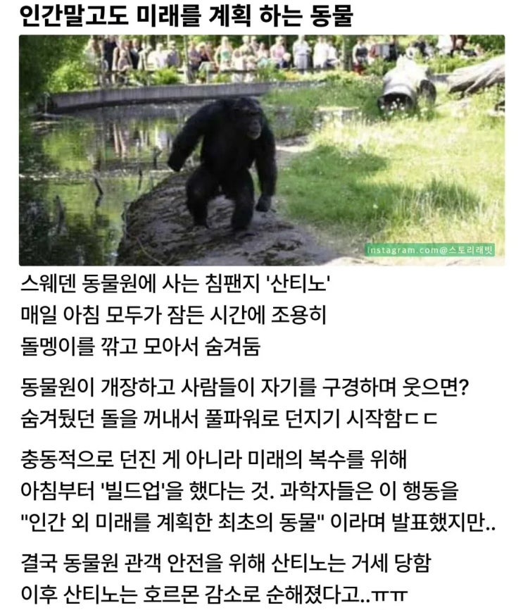  너무 똑똑한 동물의 최후.jpg