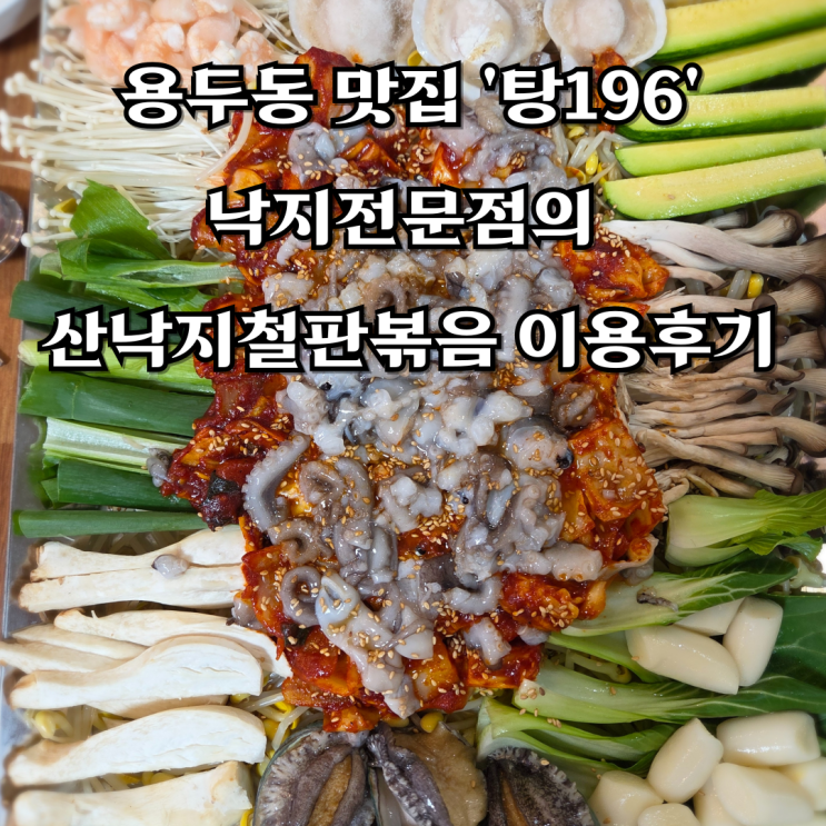  용두동 서오릉 맛집 '탕196', 낙지전문점의 산낙지철판볶음 이용후기