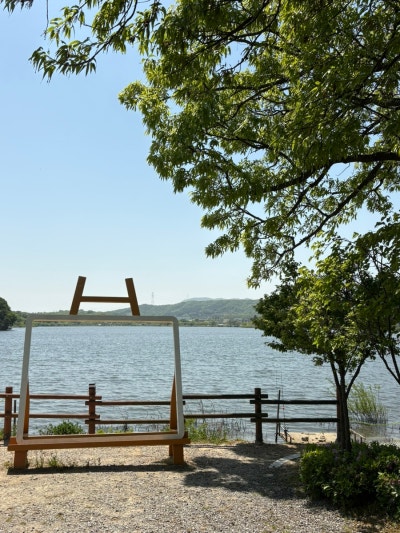 사진 4
