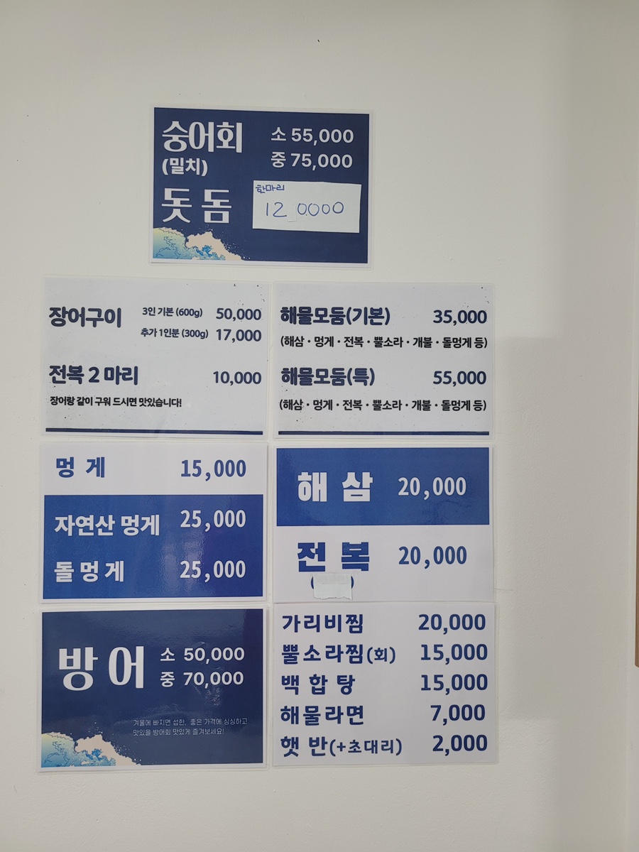 파랑물고기 사진 3