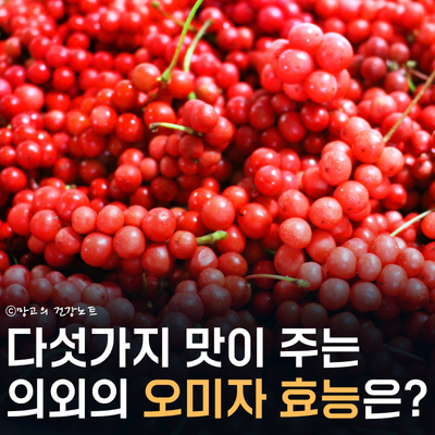 오미자 효능 부작용 섭취법은? | 오미자차 칼로리, 섭취시간