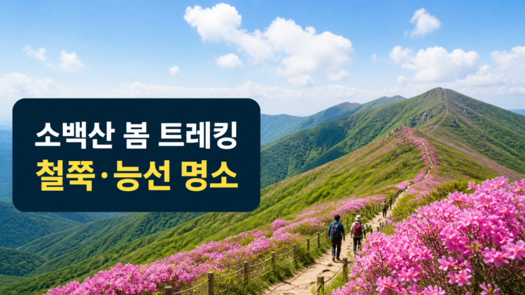  소백산국립공원 철쭉과 능선이 빚은 봄 트레킹 명소