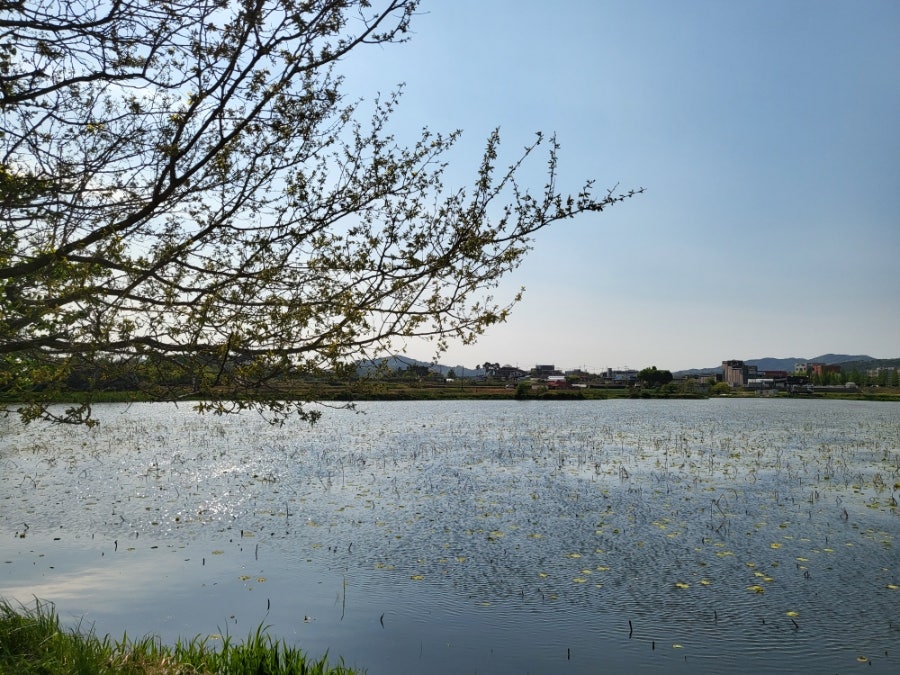 석지제 사진 1
