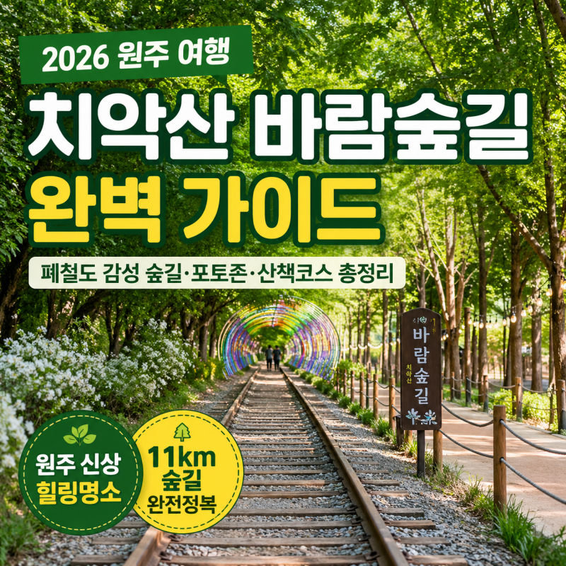 [2026 원주 여행] 치악산 바람숲길 완벽 가이드 : 폐철도 감성 숲길·포토존·산책코스 총정리