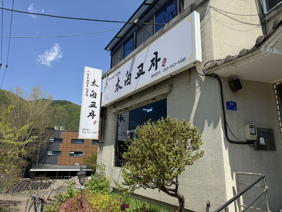 태백교자 사진 3