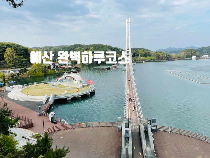 사진 5