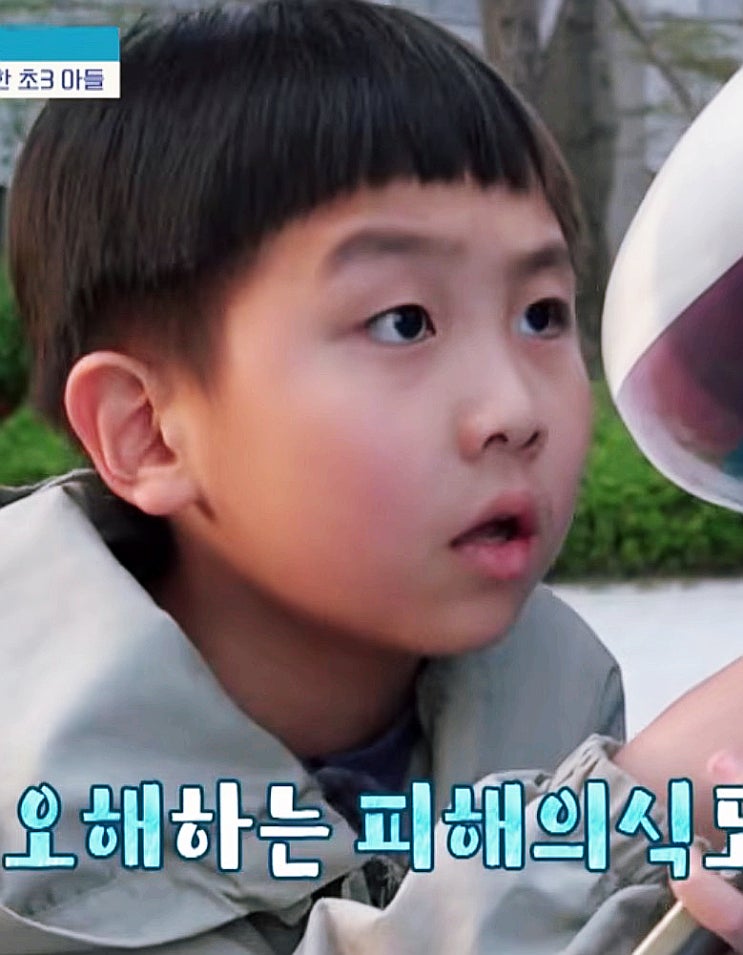 초3 금쪽이 향한 엄마의 '확증 편향' ... 