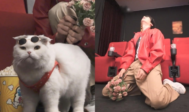 안재현 반려묘 안주 13살 고양이 건강검진 풀코스 집사라면 누구나 공감 (나혼산)