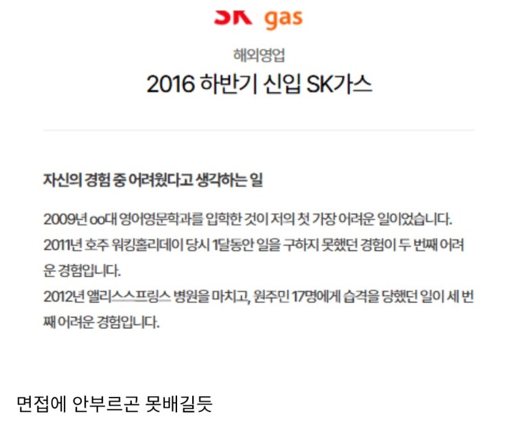  대기업 합격 자소서 수준