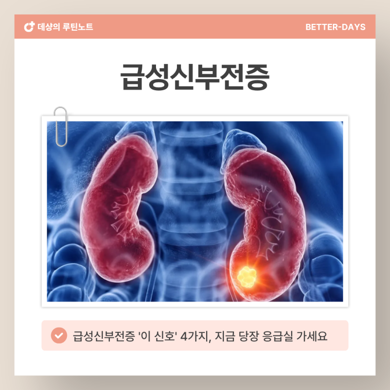 급성신부전증, 몸이 보내는 '마지막 경고' 4가지를 절대 무시하지 마세요