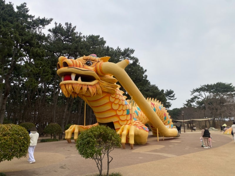 사진 8