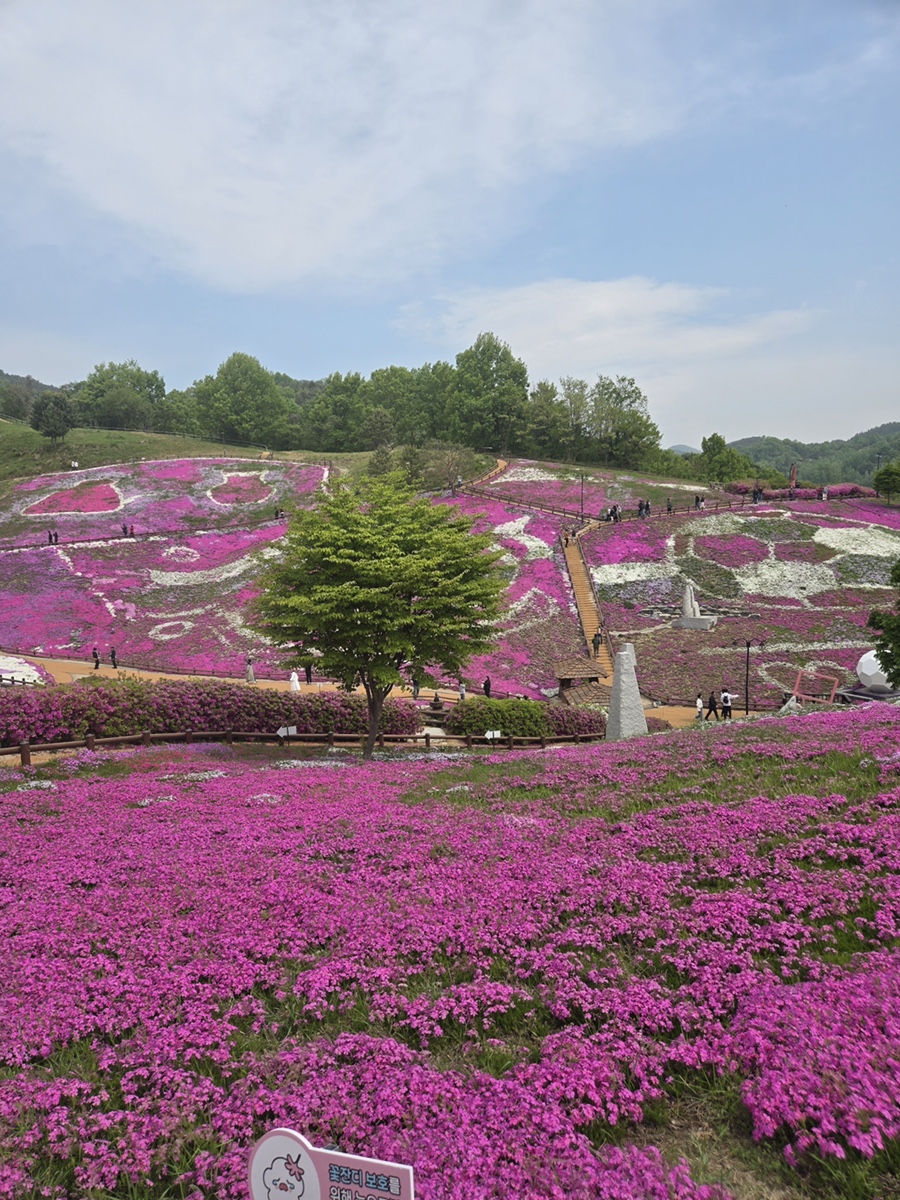 Sanctuary 사진 2
