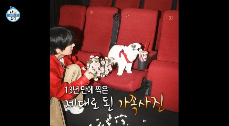 "안주야 오래 곁에 있어줘" 나혼자산다 안재현, 13살 반려묘와 가족사진 찍다 눈시울 붉어진 ....