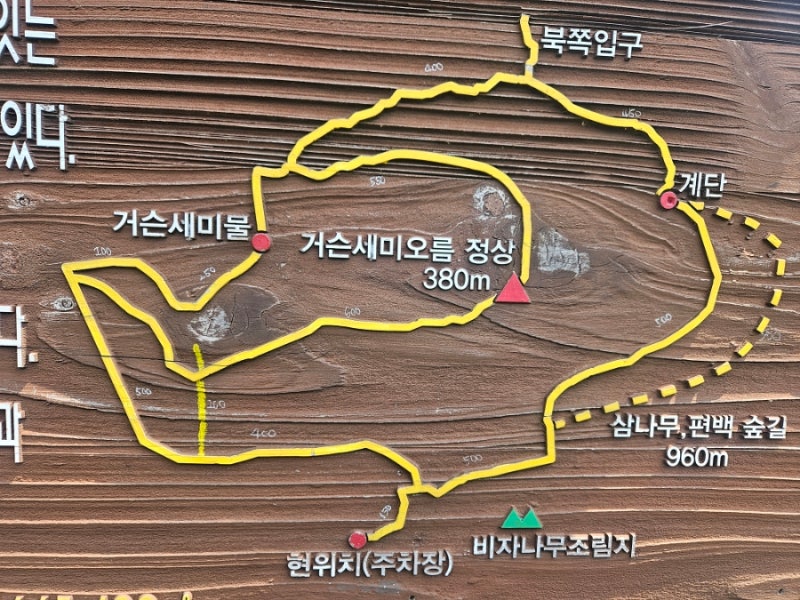 사진 5