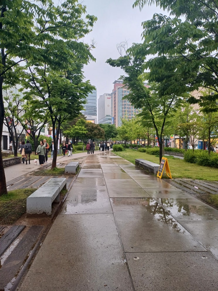  [경의선숲길] 도심을 잇는 6.3km 선형 공원, 가벼운 산책 코스 정리