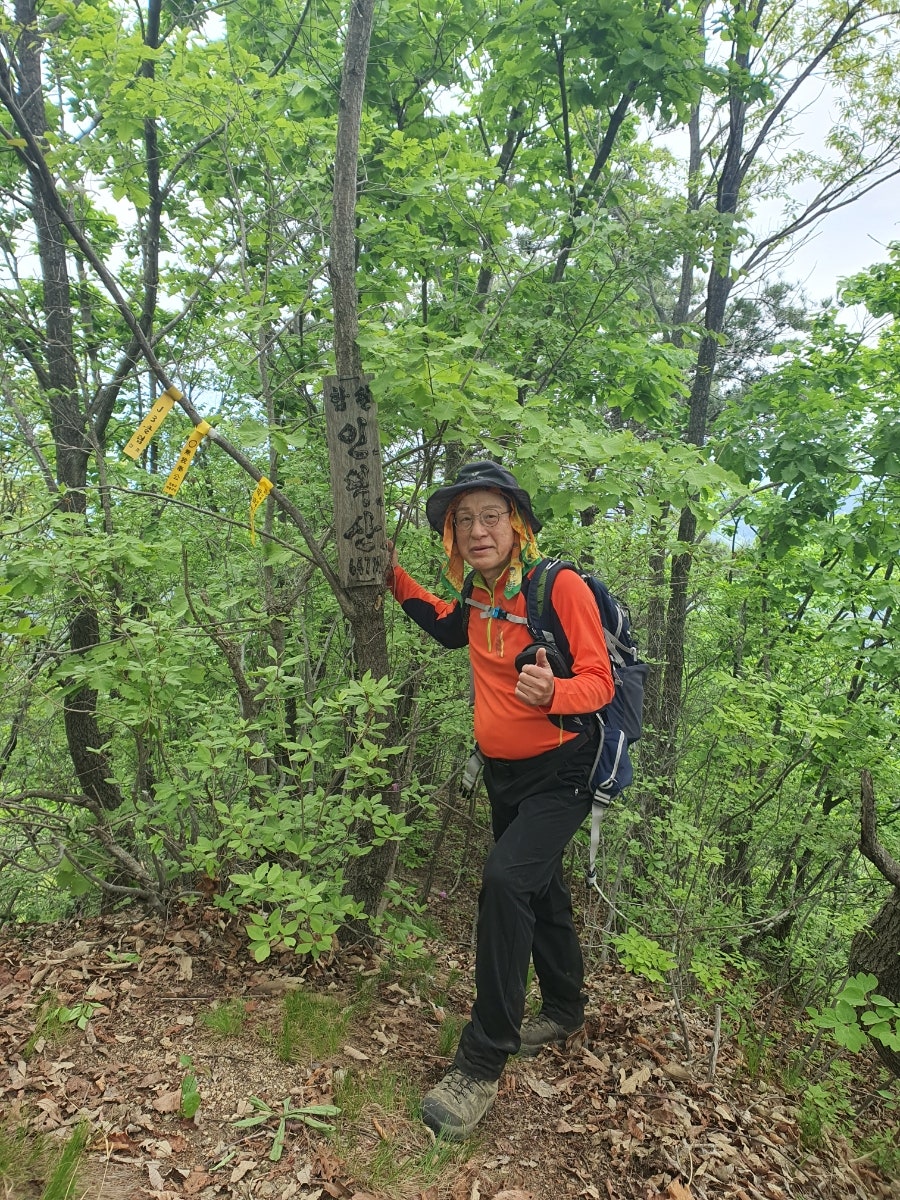 Soryongsan photo 4