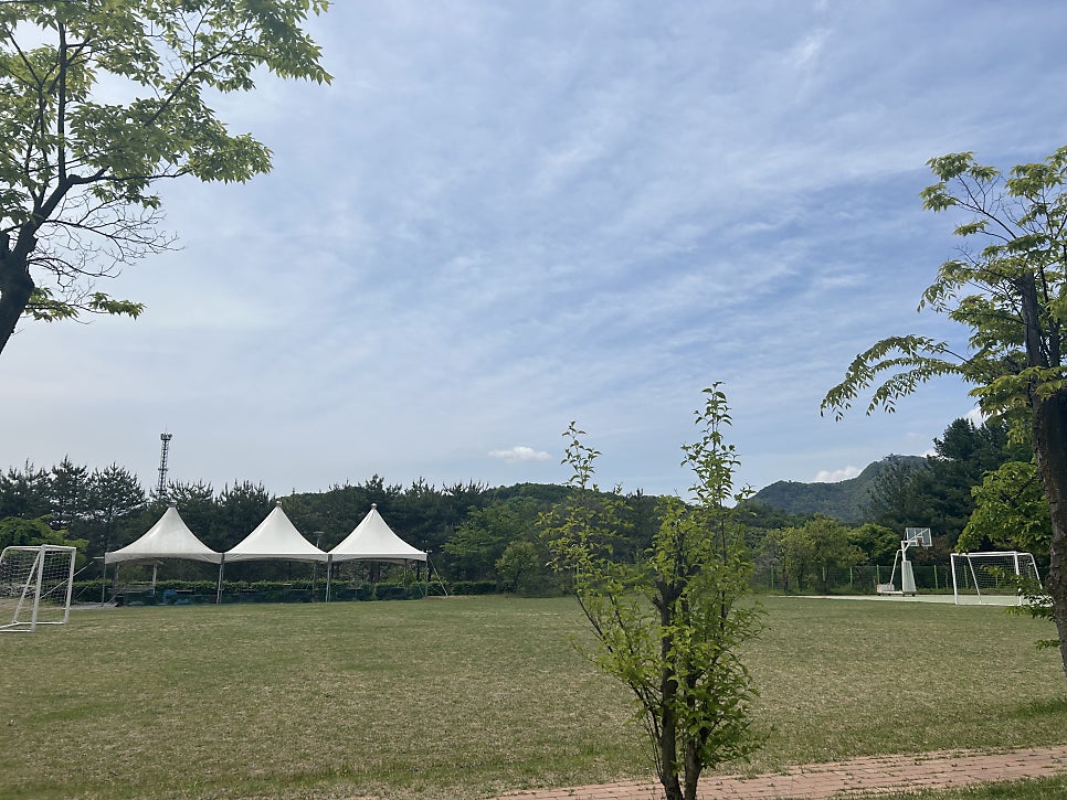 청풍유스호스텔 사진 3